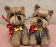 Yorkshire Terrier, Häkelhund