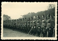 Hamburg - Deutsche Polizei Schutzpolizei Gendarmerie Tschako - WK2 Foto 9x6cm