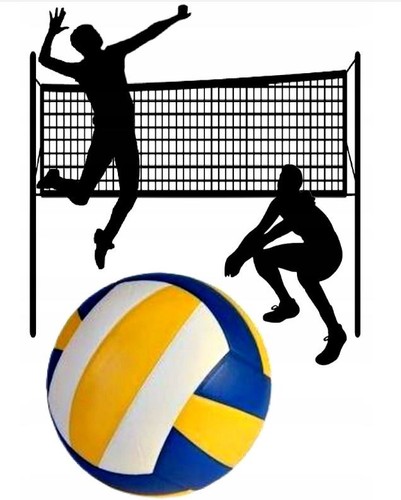 Volleyball netz satz essbar - volleyball,