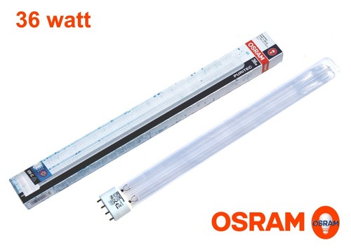 Osram uvc lampe watt - uvc, 36