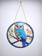 Fensterbild Sonnenfänger