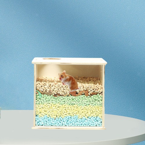 Hamster buddelbox sichtbarer - hamster,