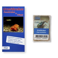 Triops mauritanicus - ,