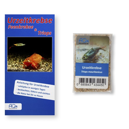 Triops mauritanicus - , (grün)