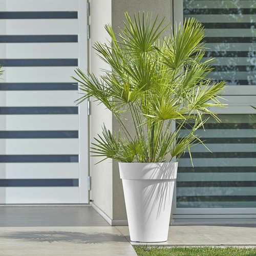 Blumentopf rund in - blumentopf,