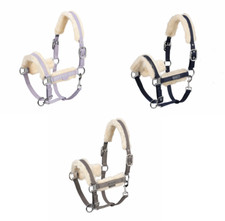 Halfter Glossy Evo Wool