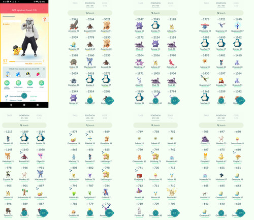 Pokémon acc lvl57 31 - pokémon,