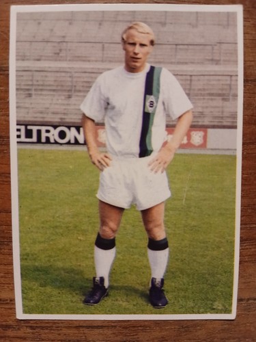 Berti vogts bergmann - vogts,