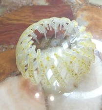 Ball Haarschmuck Vogelnest Haargummi Mit Fester  Geifclip  Hoher   Pferdeschwanz