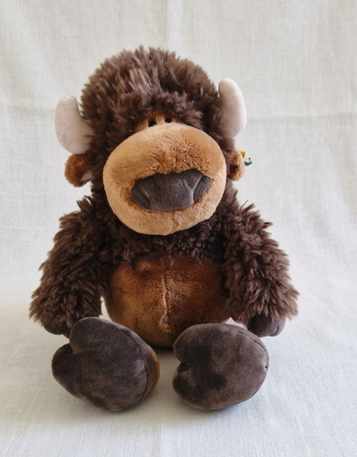 Nici büffel bison - bison, "wild