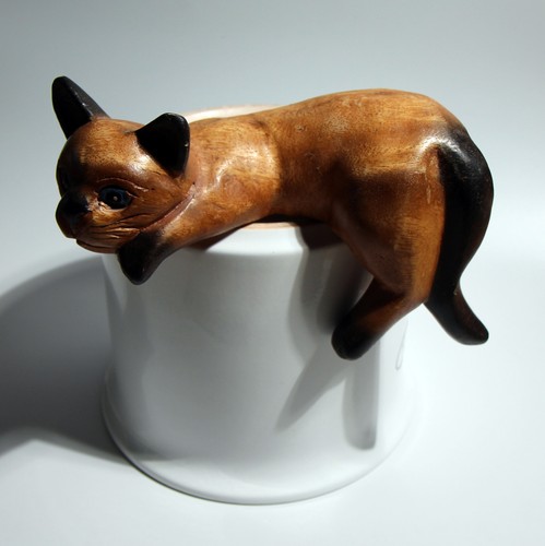 Liegendes katze - liegendes,