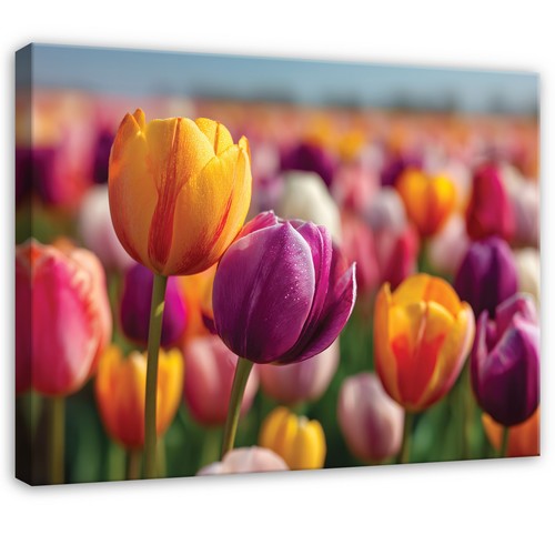 Leinwand blumen tulpenwiese - leinwand,