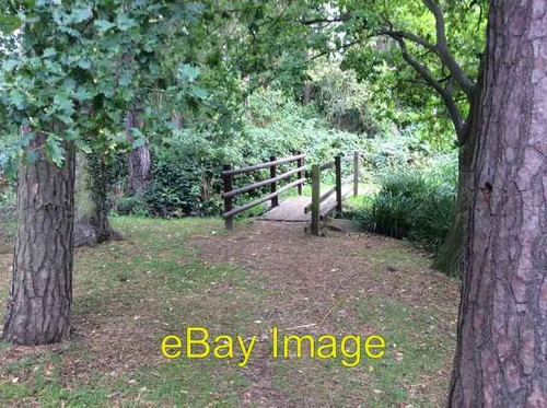 Foto 6x4 holzbrücke über - foto,
