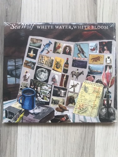 Sea wolf white - wolf,