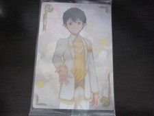 SAO Sword Art Online Wafer