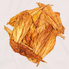 Rohe Burley-Tabakblätter der Klasse I - Premium