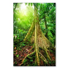 Postereck 1325 Poster Leinwand