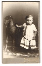 Fotografie Angenendt, Castrop