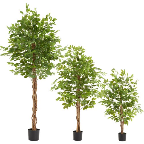 Künstlicher ficusbaum - künstlicher,