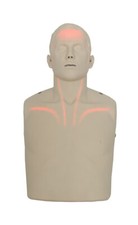 Brayden Manikin LED Blutfluss