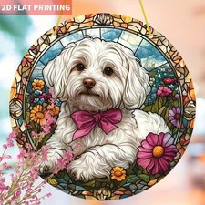 Malteser Hund Sonnenfänger