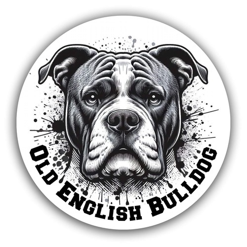 Old english bulldog aufkleber - old,