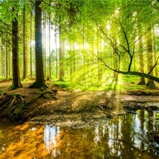 VLIES FOTOTAPETE Selbstklebend