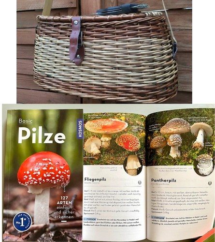 Pilzkorb pilzbuch kosmos - pilzkorb,