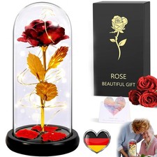 Ewige Rose im Glas Die Schöne
