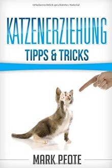 Katzenerziehung tipps tricks - katzenerziehung,