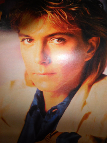 David cassidy poster - david, 7