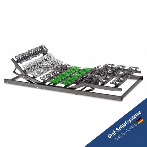 Leo plane elektrischer zonen - elektrischer, 5-zonen