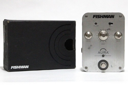 Fishman aura acoustic imaging - aura,