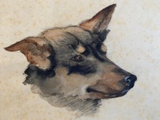 Hundin "FIFI" Sign.: A.D. Mit