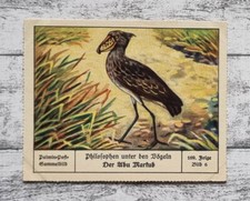 Abu Markub Philosophen Vögeln