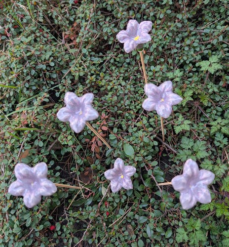 Blüten blümchen keramik - blümchen,