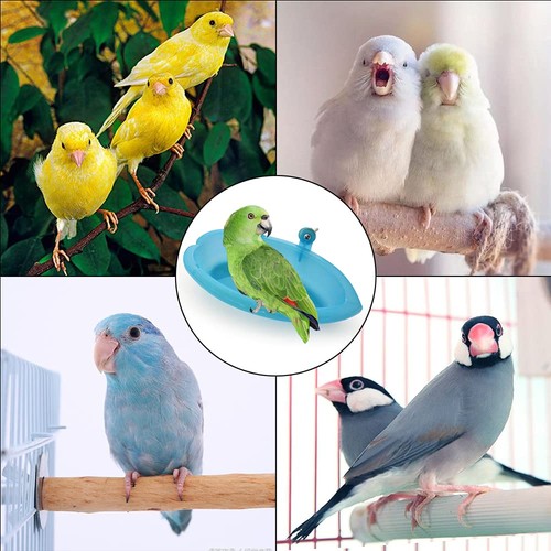 Vogelbadewanne vogeldusche - vogelbadewanne,