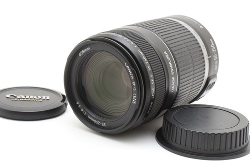Canon 250mm 4 5 - ef-s, is
