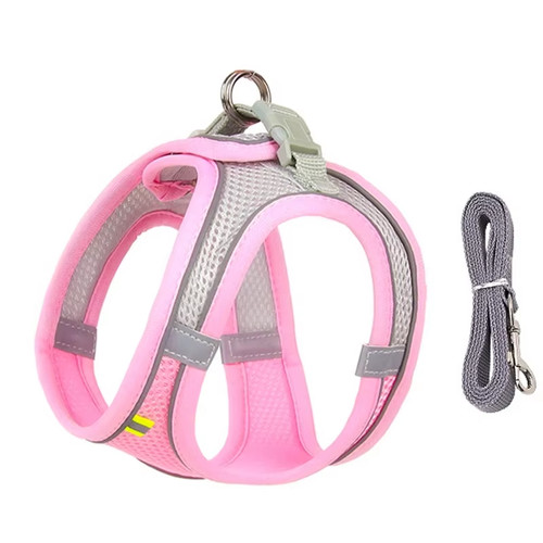 Welpen geschirr set - geschirr,