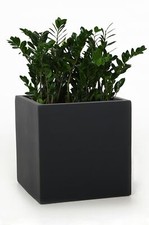 Blumenkübel Pflanzkübel