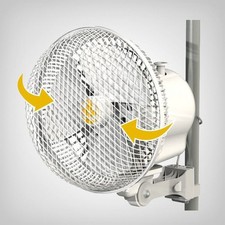 Secret Jardin Monkey Fan MF20