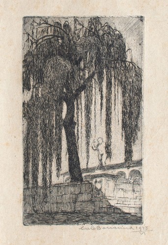 Carlo bonacina trauerweide - carlo,