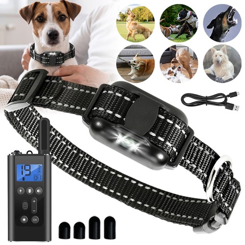 Anti bell halsband - anti,
