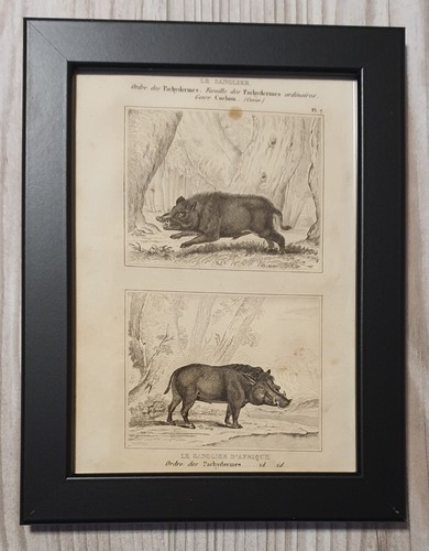 1835 lithographie kunstdruck - 1835,