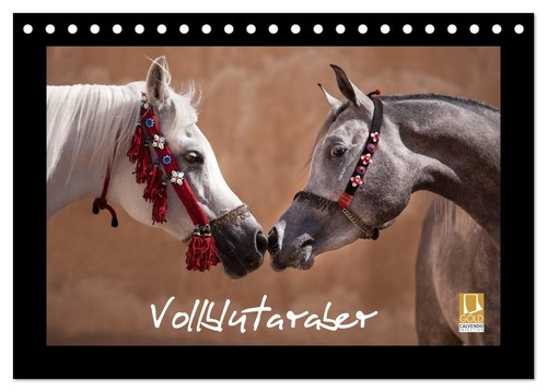 Vollblutaraber tischkalender - vollblutaraber, (tischkalender