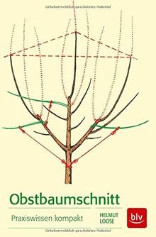 Obstbaumschnitt praxiswissen - obstbaumschnitt:,