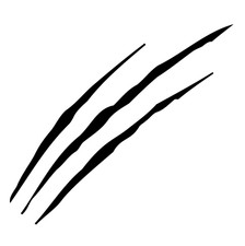 2x je 10 cm x 36 cm Beast