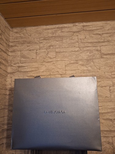 Balenciaga adidas speed lt - x,