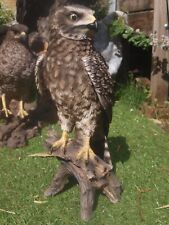 Falke Kornweihe Deko Figur Harrier Gartenfigur Adler Greifvögel HOTANT NEUHeit