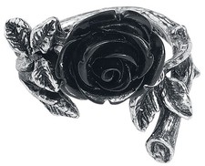 Alchemy Gothic Ring Damen Wild